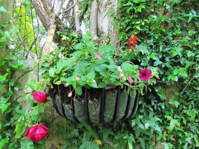 Teach Na Coiribe B&B Castlegar Buitenkant foto